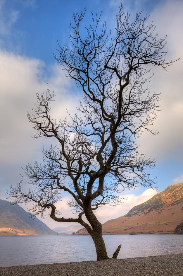 Waiting for spring.jpg